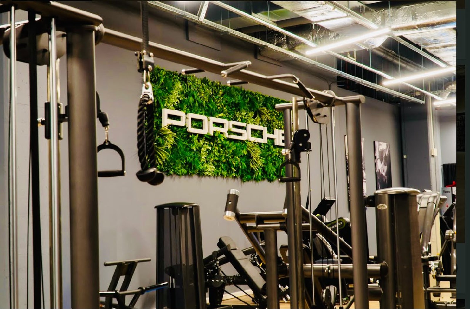Profesionalna fitness oprema u showroomu
