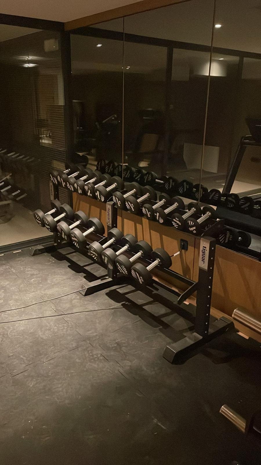 Zona slobodnih utega u hotelskom fitnessu